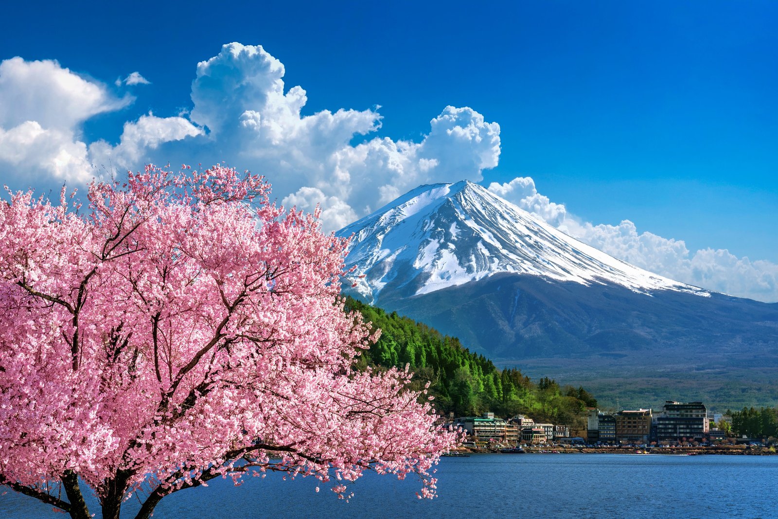 Mount Fuji reflected across the lake on a small group Fuji tour